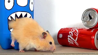 My Funny Pet Hamster takes on the COCA COLA Obstacle Course