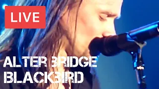 Alter Bridge - Blackbird Live in [HD] @ Wembley Arena, London 2011