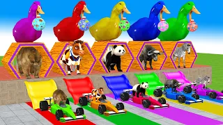 5 Giant Duck, Monkey, Piglet, chicken, dog, dinosaur, zebra, Sheep,Transfiguration funny animal 2023