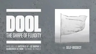 Dool - The Shape of Fluidity [Full Album Player]