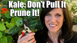 Kale: Don’t Pull It - Prune It! 🌿✂️