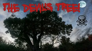 We Visit the Devil's Tree in NJ!! - A Haunting Local Legend 2020