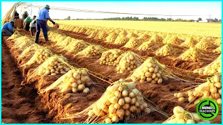 The Most Modern Agriculture Machines That Are At Another Level, How To Harvest Potatoes In Farm ▶8