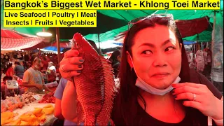 Alive seafood | Exploring Bangkok’s Wet Market | Khlong Toei Market | poultry | fruits | vegetables