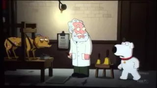 Family Guy Pavlovs Dog