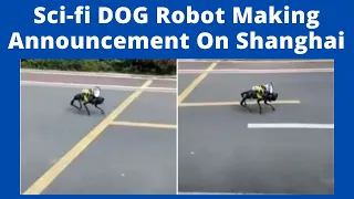 Robot Dog Announcing Covid-19 Curbs in China, Video Viral