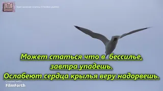 Если ждет тебя дорога в неизвестный край. _гр. Джерело Життя. Альбом Дякуем Христе. 2001 год_