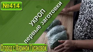 Заморозка УКРОПА на зиму. Совместные посадки. Овощи друзья на грядке