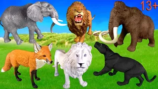 Big Cat Week 2020 - Zoo Animals - Lion, White Lion, Elephant, Mammoth, Black Panther, Red Fox 13+
