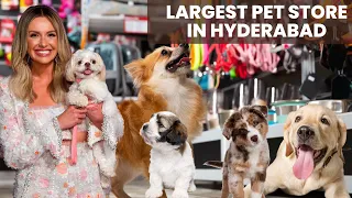 Biggest Pet Shop Hyderabad | Pure Breed Dogs | Cheapest Price Pet Shop | Buy 100% Original Breed