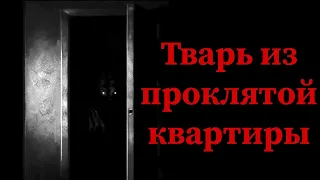 ТВАРЬ ИЗ ПРОКЛЯТОЙ КВАРТИРЫ. Страшные истории на ночь. Страшилки на ночь