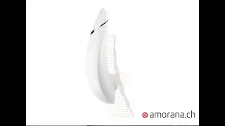 Womanizer Premium - Smart Silence • AMORANA.CH