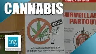 Les politiques et la dépénalisation du Cannabis | Archive INA