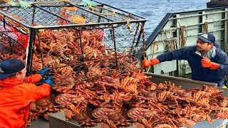 Amazing Catch Hundreds Tons Alaska King Crab On the Sea - Amazing Crab Fishing With Modern Boat