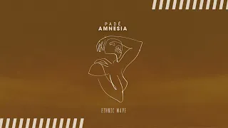 Padé - Amnesia (Radio Mix)