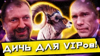 Дичь Для VIPов ! Спасите Животных от животных! @klirik_sergio