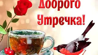 Доброго утречка!