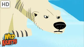 Arctic Creatures | Polar Bears, Walrus, Whales + more! [Full Episodes] Wild Kratts