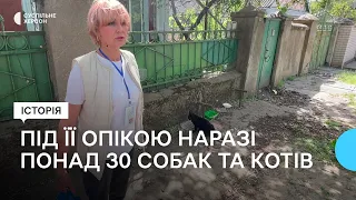 Херсонська зооволонтерка опікується безпритульними тваринами у різних мікрорайонах міста