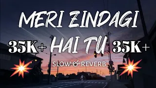 Meri Zindagi Hai Tu - Lofi (Slowed + Reverb) | Jubin Nautiyal, Neeti Mohan | PZ LOFI