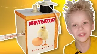 How to make an incubator with your own hands Experiment to plant chickens | AOneCool