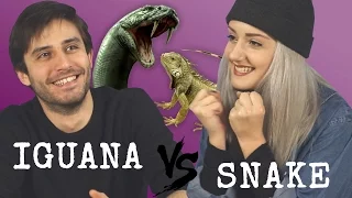 Gençlerin Tepkisi: IGUANA VS YILANLAR