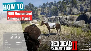 Red Dead Redemption 2 : Guaranteed American Paint Location