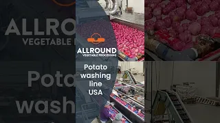 Potato washing line | KAN | USA | Allround Vegetable Processing #shorts