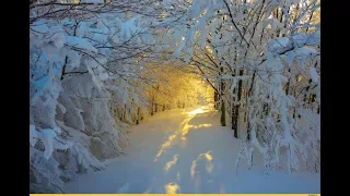 WINTER  FAIRYLAND