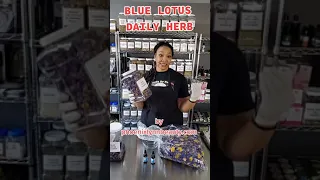 BLUE LOTUS NATURAL APHRODISIAC [DAILY HERB]