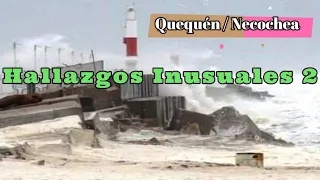 Hallazgos Inusuales Playas de Quequén y Necochea Parte 2