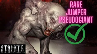 ☢ STALKER | RARE JUMPER PSEUDOGIANT