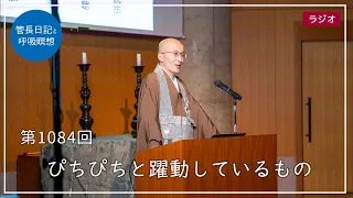 第1084回「ぴちぴちと躍動しているもの」2023/12/26【毎日の管長日記と呼吸瞑想】｜ 臨済宗円覚寺派管長 横田南嶺老師