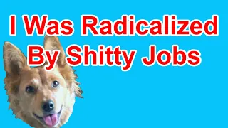 Radicalized by Work Experiences - Radical Reviewer (ft. Kathrin)