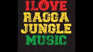 Ragga Jungle Drum n Bass Mix #2017