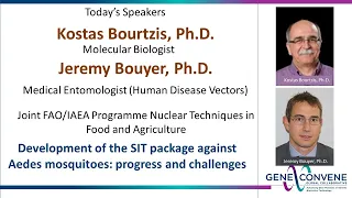 Development of SIT against Aedes mosquitoes: progress and challenges -Kostas Bourtzis - Feb 17, 2021