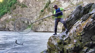 Dip Netting Alaska's Copper River Red Salmon