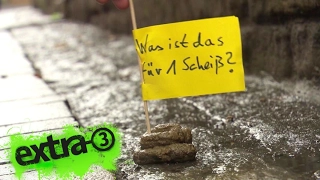 Realer Irrsinn: Hundekot-Fähnchen in Goslar  | extra 3 | NDR