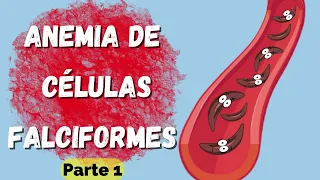Anemia de Células Falciformes | Parte 1 | Fisiopatología