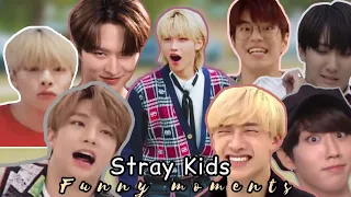 Stray Kids funny moments ✨