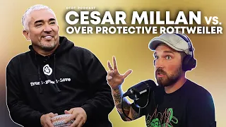 The Davidthedogtrainer Podcast 86 - Cesar Millan VS Overprotective Rottweiler