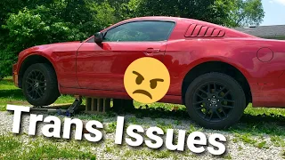 The Mustang is Down :(  Transmission Issues - TCM Lead Frame