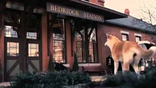 Хатико Самый верный друг  Hachiko A Dog's Story 2009