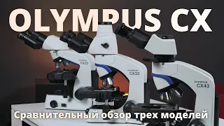 Микроскопы Olympus серии CX - краткий обзор, сравнение, ответы на вопросы