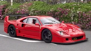 【大黒PA】スーパーカー加速サウンド！ F40, アヴェンタドール, 765LT,  R8, カウンタック, AMGGT, 720Sなど！