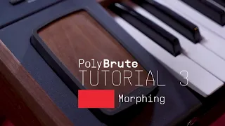 Tutorials | PolyBrute - Episode 3: Morphing