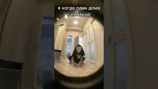 гимн анонимус