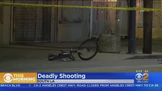 Man Shot To Death In South LA