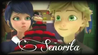 AMV | Miraculous Ladybug | Señorita (Shawn Mendes, Camila Cabello) Adrienette