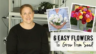 6 Easy Flowers To Start From Seed, Direct Sowing Annual Flowers - Sunshine and Flora Flower Farm